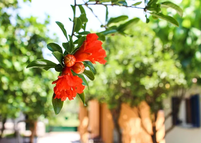 Xristina Studios Apartment Vasiliki (Lefkada)